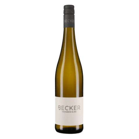 Becker Weine | Sauvignon Blanc | Rheinhessen | 6er Karton