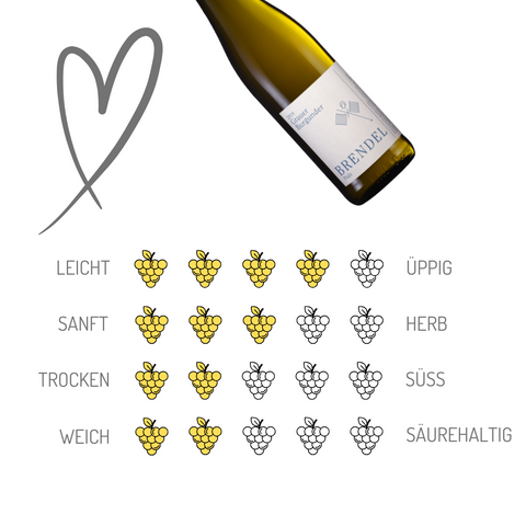 Brendel Weine | Grauer Burgunder | Pfalz | 6er Karton