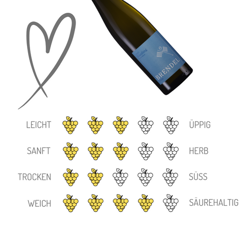 Brendel | Riesling Schlossberg | Pfalz | 6er Karton