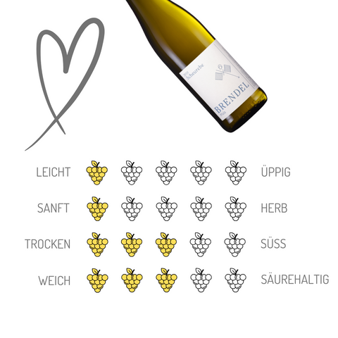 Brendel Weine | Scheurebe | Pfalz | 6er Karton