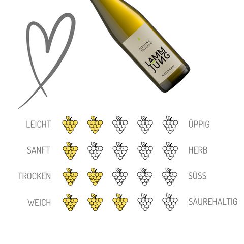 Lamm Jung Weine | Riesling trocken | Rheingau | 6er Karton