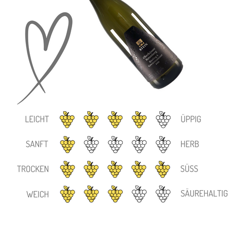 Stein Weine | Riesling & Gewürztraminer | Nahe | 6er Karton