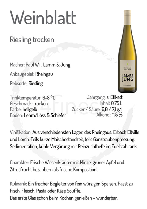 Lamm Jung Weine | Riesling trocken | Rheingau | 6er Karton