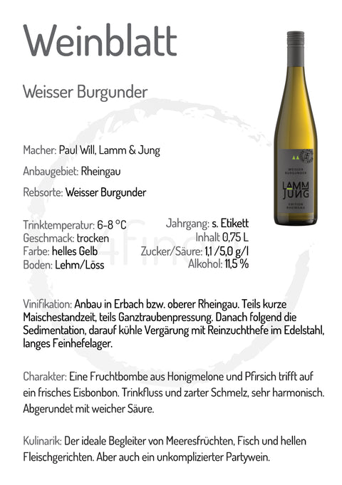 Lamm Jung Weine | Weisser Burgunder | Rheingau | 6er Karton