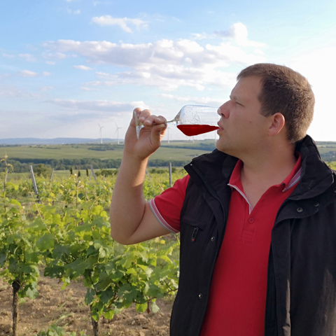 Großes Weinpaket Peth | Weißweine | Rotweine | Rosé | Rheinhessen | 8 Flaschen