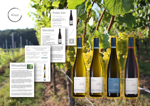 Alle Weine | Sofa-Weinprobe