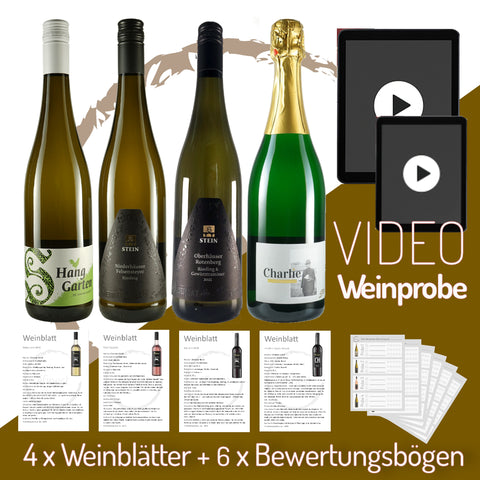 4finest Box Stein | Nahe Tal