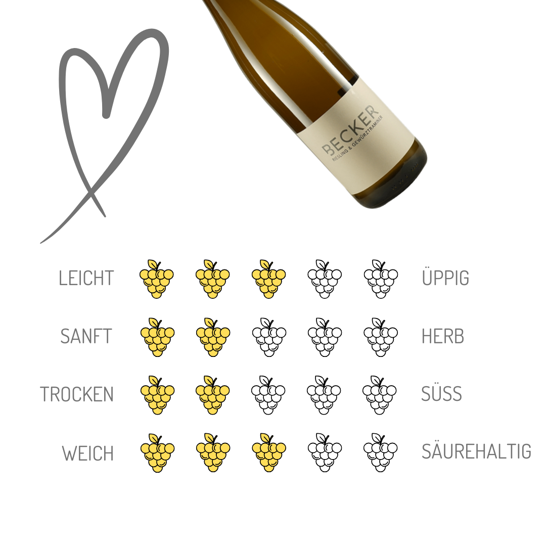 Becker Weine | Riesling & Gewürztraminer | Rheinhessen | 6er Karton