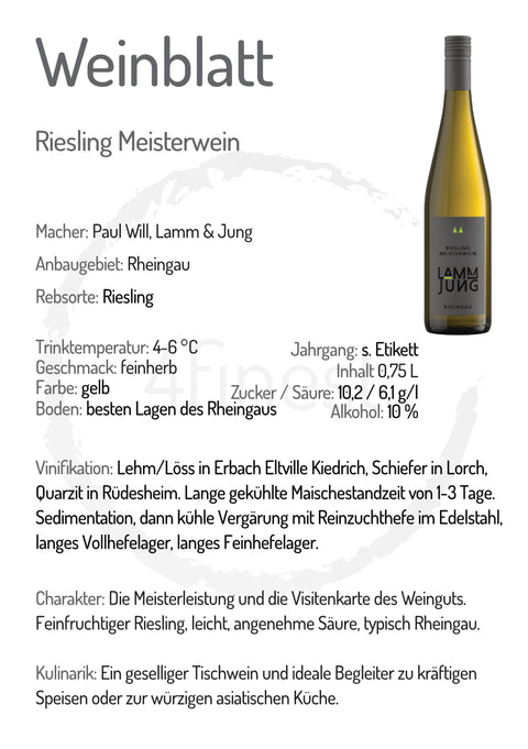 Lamm Jung Weine | Riesling Meisterwein | Rheingau | 6er Karton